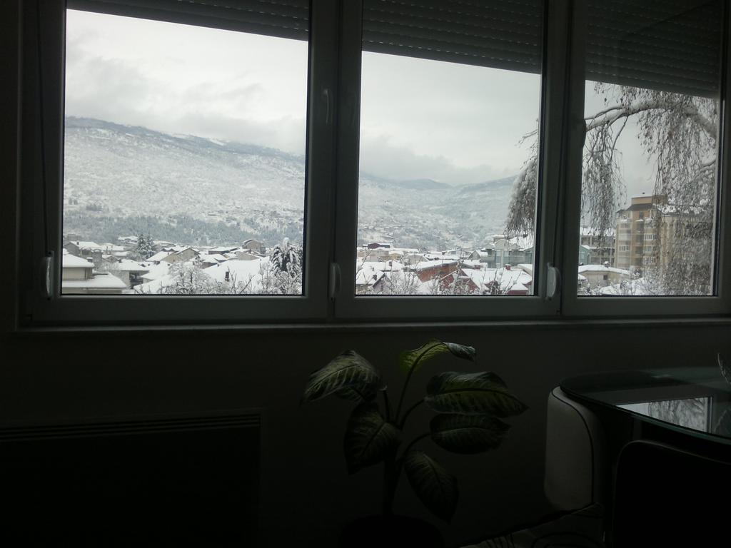 Apartment Goran And Milena Ohrid Zimmer foto